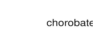 How to pronounce chorobates [upl. by Acsisnarf]