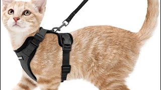 Rabbitgoo Cat Harness and Leash for Walking Escape Proof Soft Adjustable Vest Harnesses for Cat [upl. by Aspia]