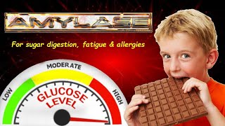 Amylase for sugar digestion allergies and more [upl. by Alahcim]