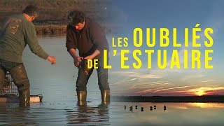 Médoc  Les oubliés de l’estuaire [upl. by Ahsika]