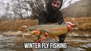 Winter Fly Fishing for Eager Trout in Idaho [upl. by Tegdirb135]