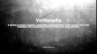 Medical vocabulary What does Veillonella mean [upl. by Znerol842]