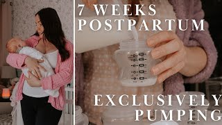 Daily Diaries  7 weeks postpartum Exclusively Pumping 🤱🏻 [upl. by Akirehs]