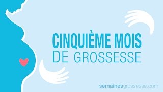 Cinquième mois de grossesse  La grossesse mois par mois [upl. by Katzir]