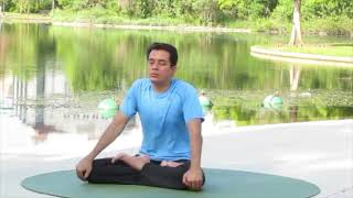 Kapalbhati Pranayama [upl. by Lokkin]