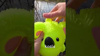 Learn Animal Names at the Pond for Kids  Ed bot TV 100000 Subs Special [upl. by Chill]