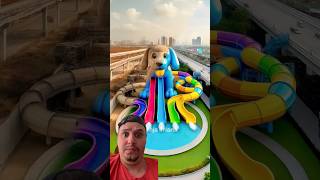 🐶 Evolution of Dog  Waterboom Playground ❤️ Dog Evolution ✅ shorts dog cute puppy [upl. by Ahsimal352]