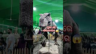 ପୁନେ ରେ ଡାଇନୋସର 😱  kaushikkatikia odiavlogs newodiasongs odiashorts [upl. by Warton729]