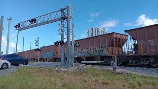 Brightline amp Florida East Coast Trains in North Miami Beach 11723 [upl. by Yadrahs]