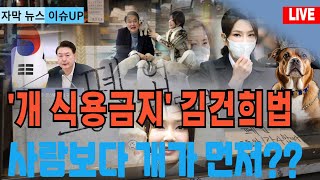 자막뉴스 세상이 개판이라며 한숨쉬는 서민들 김건희법이 뭐길래 [upl. by Hnahc928]