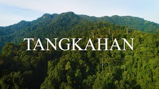 Tangkahan from Logging to Eco Lodging [upl. by Htebaile]