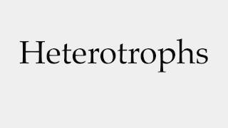 How to Pronounce Heterotrophs [upl. by Piper420]