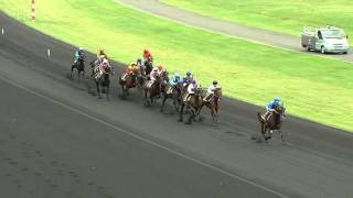 Le Prix de Cornulier 2012 sur lhippodrome ParisVincennes [upl. by Proctor]