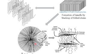 Polymer Crystallization  Hindi [upl. by Notffilc]