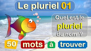 Orthographe et Grammaire Française  Le Singulier et le Pluriel des Noms [upl. by Kristof]