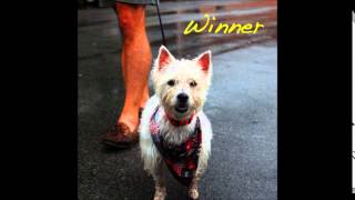 Alex G  WINNER Full Album [upl. by Esir]