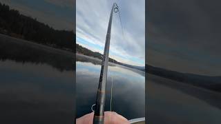 Bobber Pike Fishing  Deadbait [upl. by Iv230]