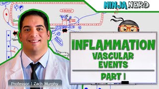 Immunology  Inflammation Vascular Events Part 1 [upl. by Marcell]