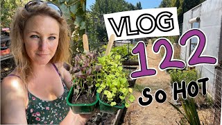 Ep122  Still No Rain August seed sowing and planting out  Plot 37 [upl. by Aneri]