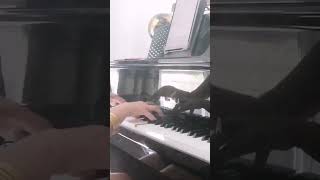 Round Midnight  Thélonious Monk  noviscore short pianocover [upl. by Erej]