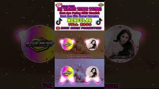 DJ TANG TING TUNG  AULIA PUTRI shorts djviral djterbaru2024 viraltiktok trending [upl. by Pall]