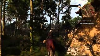 The Witcher 3 Wild Hunt Undiscovered location white orchard [upl. by Black]