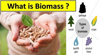 What is biomass explain  What is biomass energy Class 10 [upl. by Nyllij]