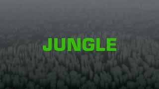 The Blaze x Endel  JUNGLE Sleep Soundscape [upl. by Ynaitirb]