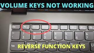 Volume Button Not Working  Reverse Function Keys and Multimedia Keys F1F12 [upl. by Ingelbert639]