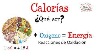 🍔¿Qué son las calorías🔥 Fácil y Rápido  BIOLOGÍA  FÍSICA  QUÍMICA [upl. by Nylhsoj]