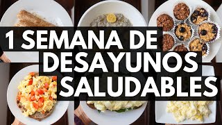 UNA SEMANA DE DESAYUNOS SALUDABLES  Michela Perleche [upl. by Martino]