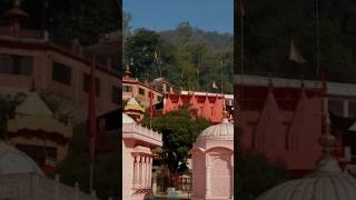 Jwala Devi mandir mandir viralvideo shorts youtubeshorts [upl. by Abbott]