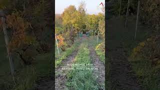 IDEALNA VIKENDICA sa prelepim pogledom realestate serbia nekretnine home property novisad [upl. by Oirad981]