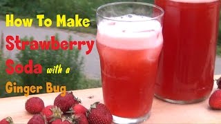 Strawberry Soda Recipe  Naturally Fizzy With Ginger Bug [upl. by English202]