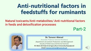 Anti Nutritional Factors in Feedstuffs Part2 Natural toxicants amp detoxification processes [upl. by Brenton]