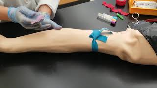 Phlebotomy Venipuncture Procedure [upl. by Nywrad]