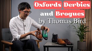 Oxford vs Derby vs Brogue  Whats the difference  Thomas Bird Shoes [upl. by Haym]