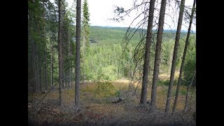 Norwegen Kleine Tageswanderung im ausgetrockneten Wald [upl. by Snave]