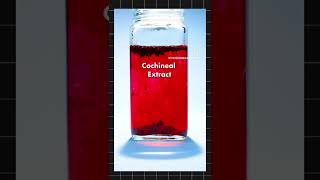 quotThe Hidden Bug You Eat Every Day Cochineal and Carmine Colorquot😲 shocking what hidden NoTell❌ [upl. by Greff]