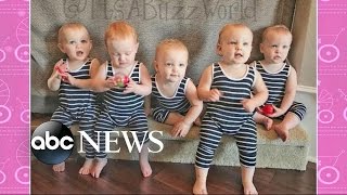 Americas First AllFemale Quintuplets Visit on GMA [upl. by Geesey661]