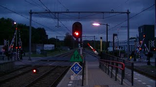 Spoorwegovergang DriebergenZeist  Dutch railroad crossing [upl. by Hayikaz]