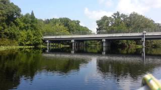 Wekiva River Boat Ride [upl. by Nerin]