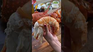 Spiny Lobster ASMR 🦞 lobster spinylobster seafood asmr foodporn yummy delicious roe [upl. by Leifer261]