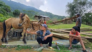 Orphan boy Hung was helped by Anh Van to build a wooden stableep106 [upl. by Nnail]