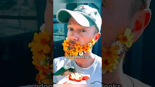 man rescues hummingbird dresse up daily for heartwarming reunions shortvideo birdanimalshorts [upl. by Hacker359]