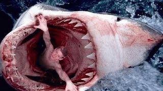 Les animaux de la mer en danger documentaire complet [upl. by Neitsabes]