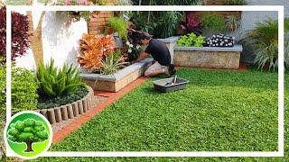 💚 DIY  Lindo paisagismo no quintal  Decoração de jardim 35 [upl. by Tseng751]