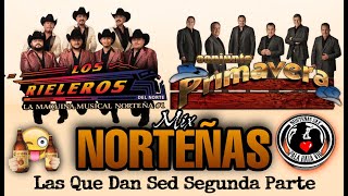 Conjunto Primavera Ft Rieleros Del Norte Norteñas Mix Las Que Dan Sed Segunda Parte Edit 2020 [upl. by Ahsemrac]