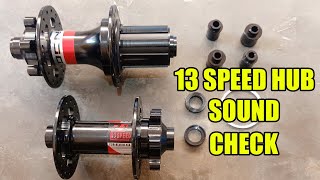 13 SPEED MTB 6 PAWL HUB SOUND CHECK🔥😱 SO LOUD Shorts mtb cycleriderroy [upl. by Auqenet]