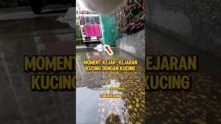 BEGINILAH PENAMPAKAN KUCING YANG DIKASIH GOPRO 😅 [upl. by Macur415]